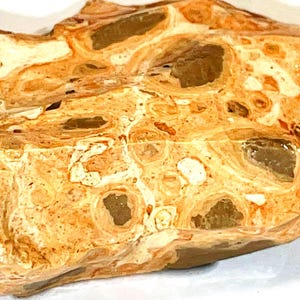 Leopardit Jasper Raw Mineral Specimen 91g - Boost Energy & Vitality with Natural Rough Rock Crystal Healing, rare Jasper stone,for jewelry