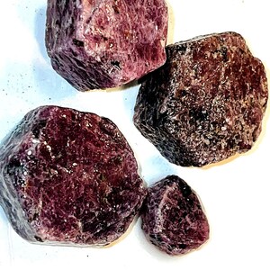 Peut inclure: Quatre pierres précieuses de rubis brutes de couleur rouge foncé sur une surface blanche. Les pierres précieuses sont de tailles et de formes variées.