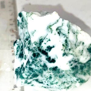 May include: A rough-cut stone with a marbled appearance. The stone features a mix of white and deep green colors, creating a striking contrast. The natural rock formation has an irregular shape and texture, suggesting it is a raw, unpolished specimen.