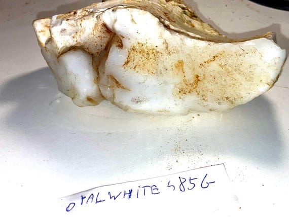 Cacholong Opal White Rough Stone 485g Healing Crystal Mineral