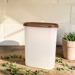 Puede incluir: Un recipiente de almacenamiento de alimentos rectangular transparente con una tapa marrón está sobre una superficie de madera. Hierbas verdes frescas están esparcidas alrededor del recipiente. Una pequeña maceta de terracota con una planta verde está en el fondo.