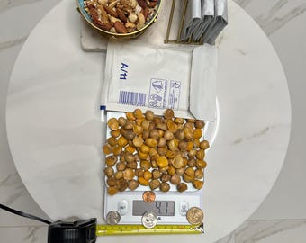 Elephant garlic 100 large seeds for planting