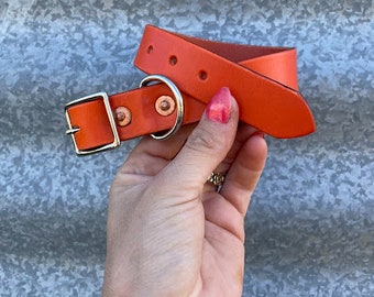 Handmade Wickett and Craig Dog Collar