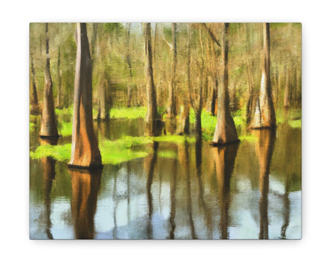 Cypress Swamp: Oil Painting Print - Southern Wilderness, Canvas Gallery Wrap