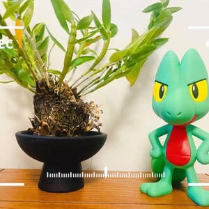 Pode incluir: Uma figura de desenho animado verde com olhos amarelos e peito vermelho está ao lado de uma planta em vaso. A planta está em um vaso preto em estilo pedestal. A imagem tem uma sobreposição de ícones REC e bateria.