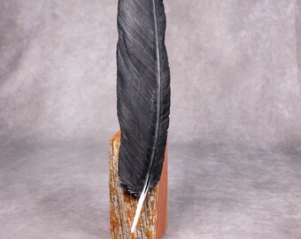 Lifesize Raven Primary Bird Feather. Hand Carved and Painted. Wooden Bird Art.