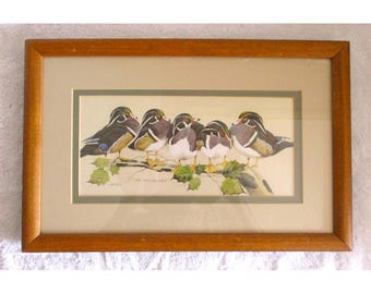 Vintage New Century Picture Corp. The Bachelors Wood Duck – oprawiony wydruk artystyczny 4252