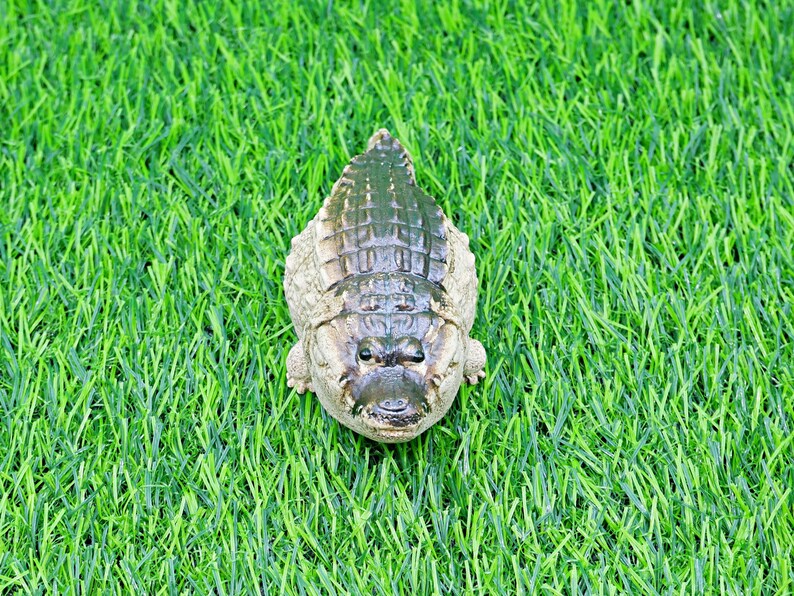 May include: A detailed, top-down view of a small, decorative alligator figurine. The figurine is a muted green and tan colour, with textured scales and a detailed face. It rests on a bed of vibrant green artificial grass.