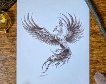 Phoenix art print A5, pencil drawing, magical creatures, fantasy beasts, Wizard World