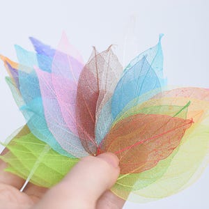 Mix de Folhas Esqueleto – Folhas Secas Multicoloridas para Resina, Decoração de Bolos, Artesanato em Epóxi, Materiais Botânicos (Conjunto com 26 peças)