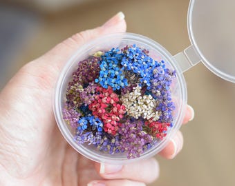 Tiny Multicolor Dried Yarrow flowers for jewelry making, 3d yarrow flowers for resin