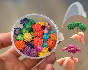 20+pcs Colorful Dried Matricaria Flowers, Natural Organic Flowers for Resin Art, Cakes, Candles
