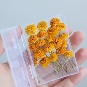 Dried tiny Ranunculus long stem, dried yellow flowers for resin, 30 or 50pcs