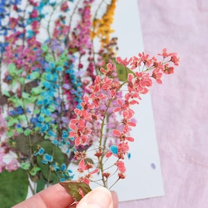 11個の押し花、ドライフラワー、樹脂用本物の花材、3Dフラワー、ドライボタニカル、押し花