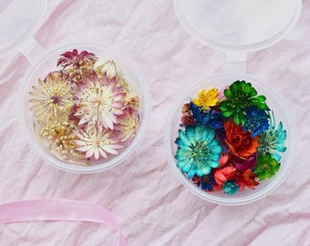 Dried multicolor Astrantia flowers for resin jewelry casting, terrarium making