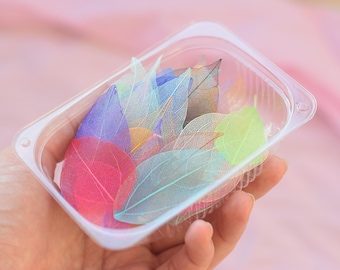 Skeleton Leaves Mix – Dried Multicolor Leaves for Resin, Cake Decoration, Epoxy Crafts, Botanical Supplies 25 pcs in set