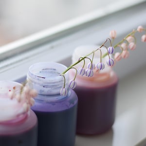 May include: Three small jars with open lids, filled with purple and pink liquids, sit on a windowsill. Sprigs of flowers with white and purple bell-shaped flowers and pink buds are placed near the jars, adding a natural touch to the scene. The jars are in a row.