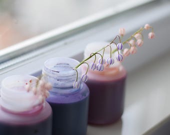 Floral Dye for Cut Flowers | Stem Absorption Dye for Florists