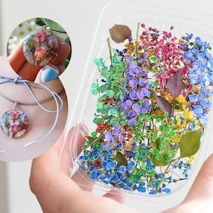 11本の枝が入ったドライフラワーのフラワーボックス、ドライフラワー、樹脂用の本物の花材、3Dフラワー、ドライボタニカル、押し花