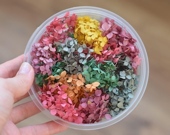 Dried preserved hydrangea flowers, real dried multicolor flowers of hydrangea, small dried flowers for resin