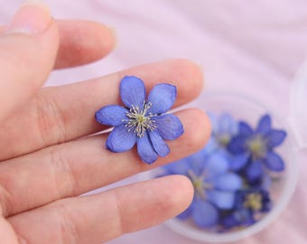 Dried Blue Flowers Early Bloom, Real Dried Flowers for Resin Art, Botanical Decoration