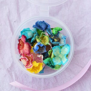 23 jasmine flowers, colored dried jasmine, real floral supplies for resin, 3d flowers dried botanicals