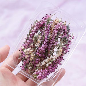 ヘザーエリカのドライフラワー（樹脂用）、ヘザーの花、ピンク、白、紫のヘザーの小枝のドライフラワー、工芸品やジュエリー作りに
