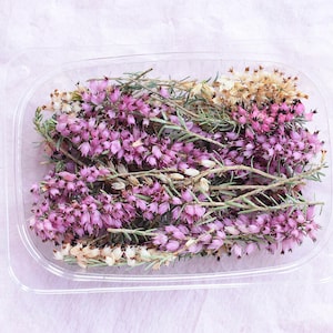 Heather Erica dried Flowers for Resin, heather flowers, Dried Pink, White Sprigs heather, For Crafts and Jewelry Making