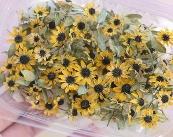 80 or 20pcs Small Dried Sunflowers: Natural Organic Flowers for Resin Art, Cakes, Candles