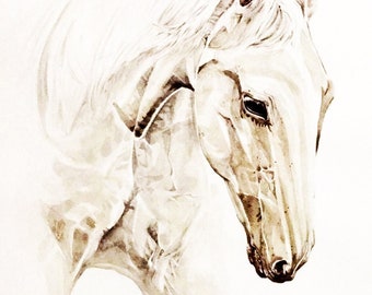 Beau cheval blanc à l'aquarelle