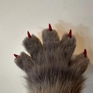 May include: A close-up shot of a furry paw with five digits, each featuring a long, glossy red nail. The fur is a blend of grey and brown, with a soft, textured appearance. The paw is set against a plain, off-white background.