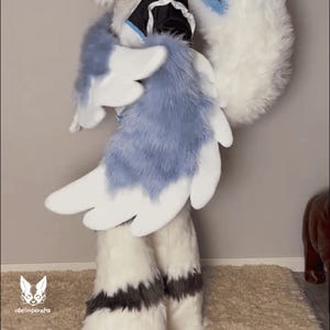 Söt Sky Beast Fursuit Klovingar, Plyscharmvingar, Vingar Klohandskar Vinger, Fantasy Cosplay Drake Fågel Kemono Kostym, Fursuit Tillbehör