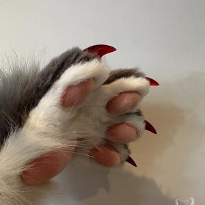 May include: A close-up shot of a furry paw featuring pink pads and striking red claws. The fur is a blend of grey and white, with a soft, plush appearance. The image is well-lit, accentuating the details of the paw and claws. The theme suggests fantasy or cosplay.