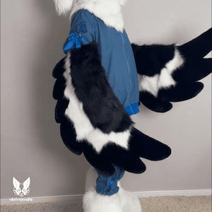 Op de afbeelding: Een zwart-witte fursuit met blauwe accenten. Het pak heeft grote vleugels met zwarte en witte veren. Het pak is gemaakt van zacht, pluche bont.