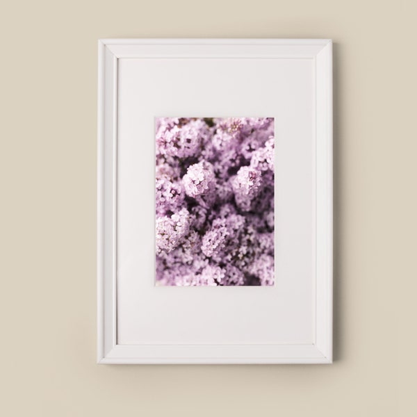 Lilac Flower Photography Digital Download, Lilac Flower Print, Spring Floral Shelf Décor, Floral Nursery Decor, Farmhouse Spring Decor