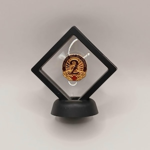Vietnam War Era c.1970's U.S. 2nd General Hospital Brass Unit Insignia w/display