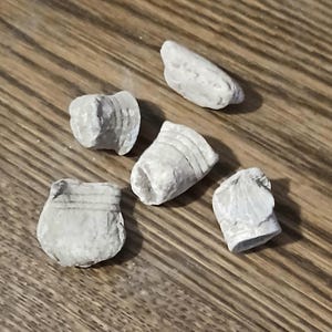 Authentic Civil War Set of 5 Fired &quot;Pancake Bullets&quot;.