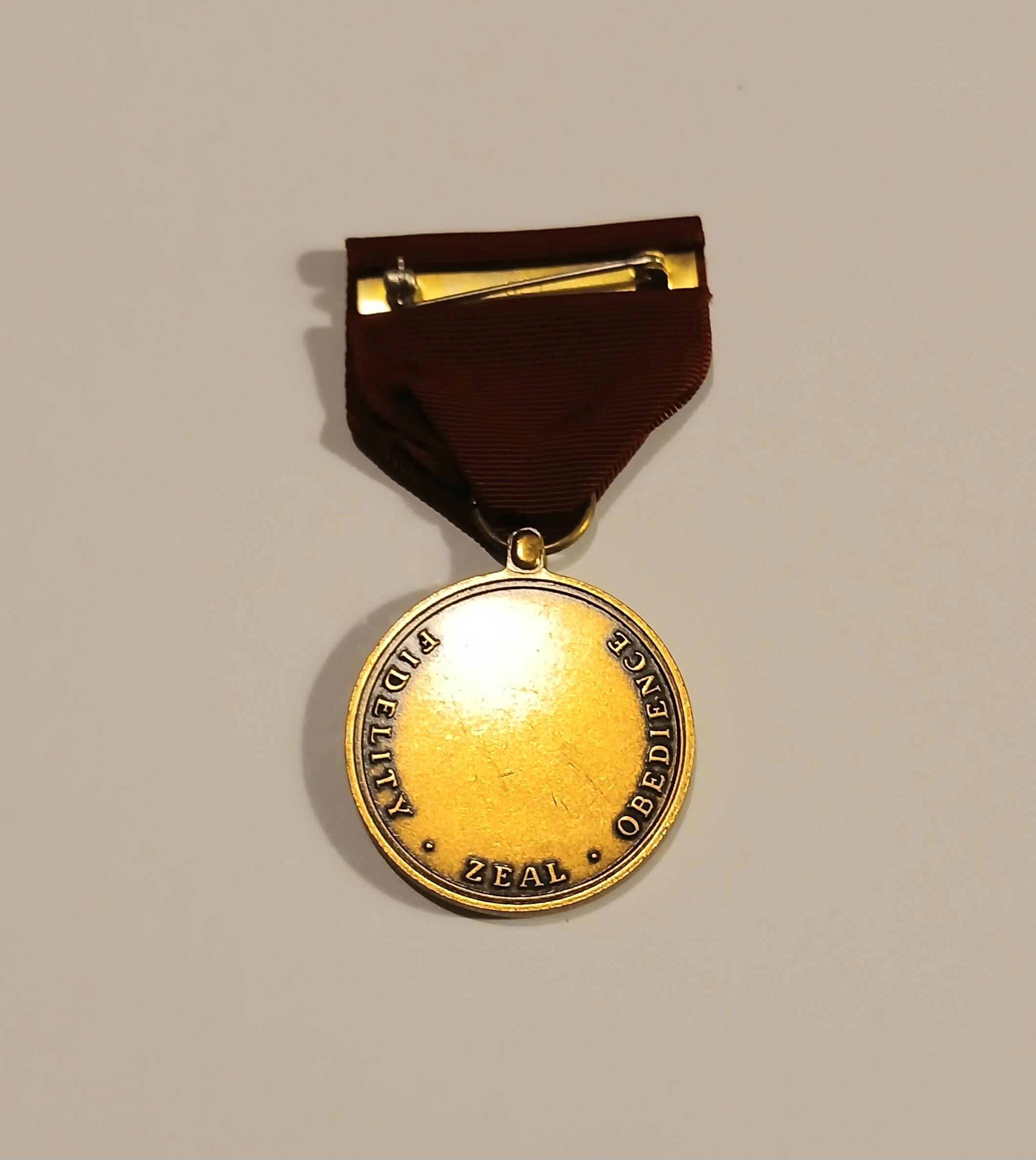 Medaglia Originale USA - Campagna Di Risoluzione Intrinseca (Taglia Intera)