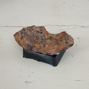 May include: A rough, irregularly shaped, brown rock sits atop a small, black, angular stand. The rock has a textured surface with various shades of brown and orange. The stand is a simple, geometric shape.