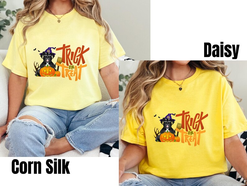 Halloween Dog Shirt, Trick or Treat Dog, Spooky Season, Halloween Gift