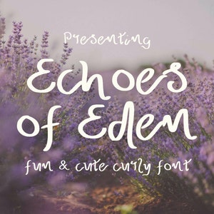 May include: A white font design with the text "Presenting Echoes of Eden fun & cute curly font" displayed against a background of purple lavender flowers.