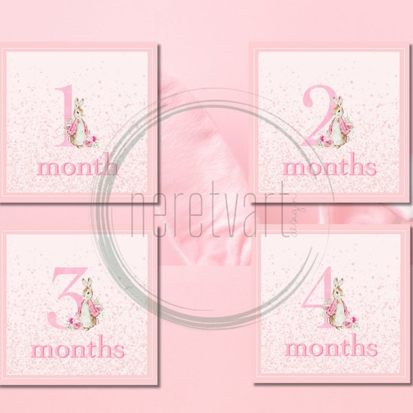 12 Baby Girl Pink Rabbit Theme Printable Milestone Cards for Every Month First Year | Monthly Cards | Shower Gift | New Mom | Milestones