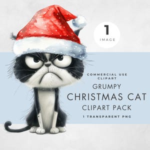 Mürrische Weihnachtskatze Clipart, EINZELBILD, kommerzielle Nutzung, transparente PNG, festliche Kartendesigns, Aquarell Illustration, Papiermodelle