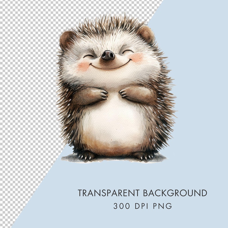 May include: A watercolor illustration of a smiling hedgehog with brown and white fur, a black nose, and pink cheeks. The hedgehog is standing with its small paws tucked against its chest. The image features a transparent background.