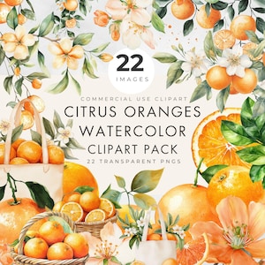 Clipart de Laranja Cítrica, Uso Comercial, PNG Transparente, Aquarela, Flor de Laranjeira, Pequena Gracinha, Aperto Principal, Designs de Chá de Bebê e Chá de Panela