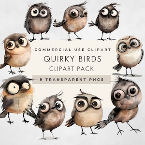 Clipart di uccelli stravaganti, 9 IMMAGINI, uso commerciale, PNG trasparenti, uccelli divertenti, clipart acquerello, cartone animato stravagante, download digitale