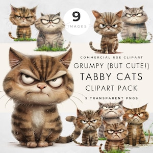 Grumpy Cat Clipart, Commercial Use, Transparent PNGS, Funny Cute Animals, Tabby Cats Clip Art, Paper Crafts, Junk Journal, Digital Download