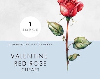 Red Rose Clipart, SINGLE IMAGE, Commercial Use, Transparent PNG, Watercolor Floral, Valentine Flower Clip Art, Scrapbooking, Paper Crafts