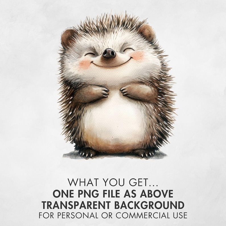 May include: A watercolor illustration of a smiling hedgehog with brown and white quills, pink cheeks, and small paws. Below the hedgehog, the text reads: WHAT YOU GET... ONE PNG FILE AS ABOVE TRANSPARENT BACKGROUND FOR PERSONAL OR COMMERCIAL USE.