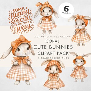 Bunny Clipart, kommerzielle Nutzung, transparente PNGs, süße Kaninchen, einige spezielle Kaninchen, Mädchen-Babyparty-Grafik, Ostern, Einladung, Kartenherstellung